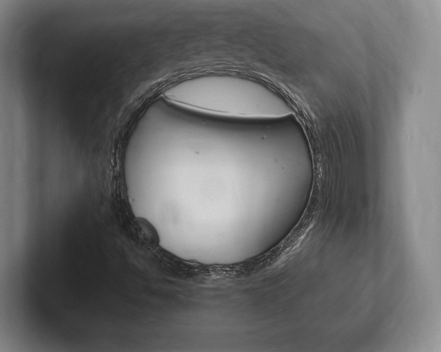 X0000102261494200807250827