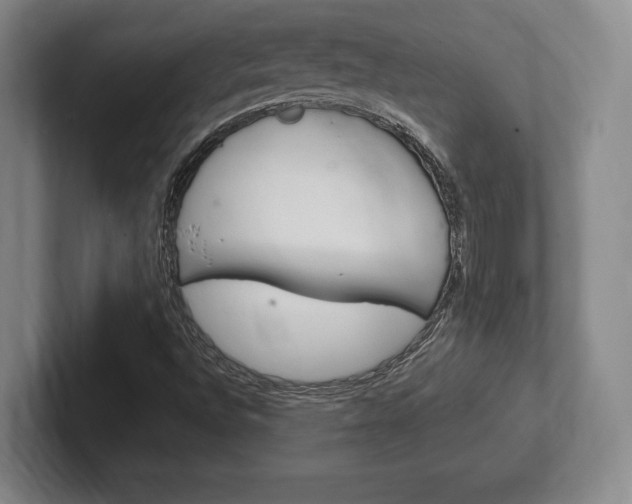 X0000102261496200807250827