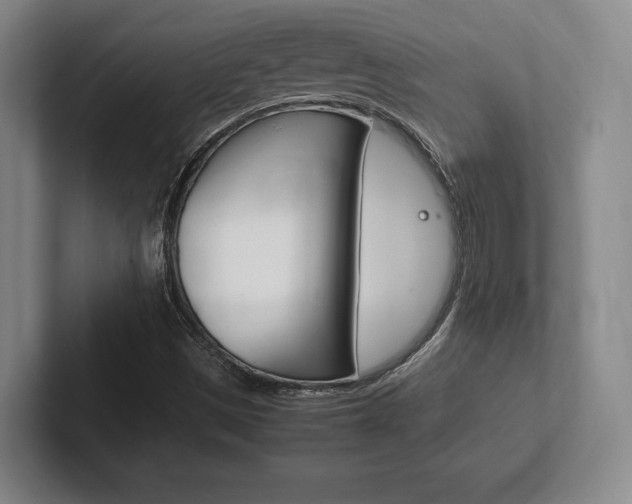 X0000102261497200807250827