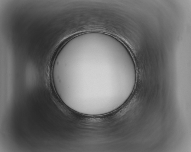 X0000102261499200807250827