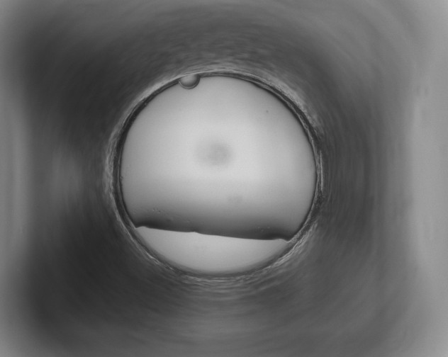 X0000102261500200807250827