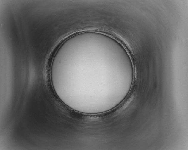 X0000102261501200807250827