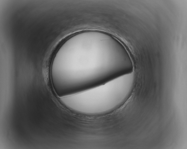 X0000102261503200807250827