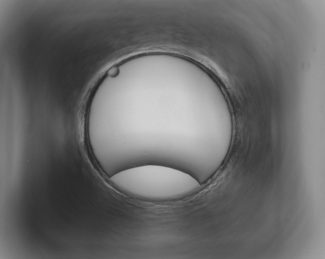 X0000102261504200807250827