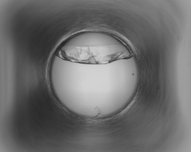 X0000102261506200807250827