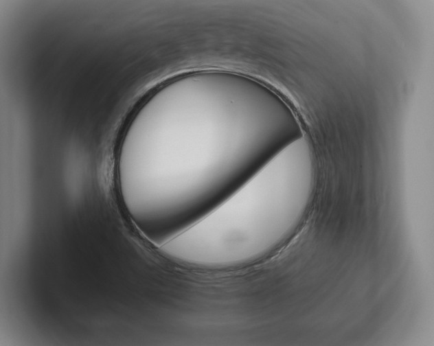 X0000102261507200807250827