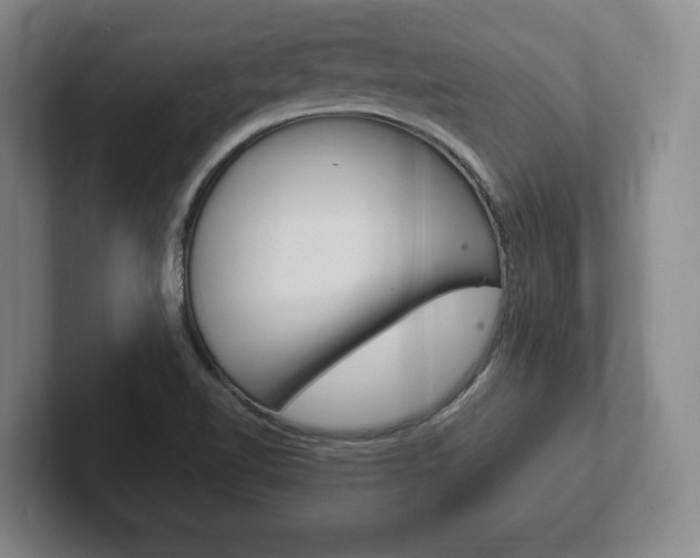 X0000102261510200807250827