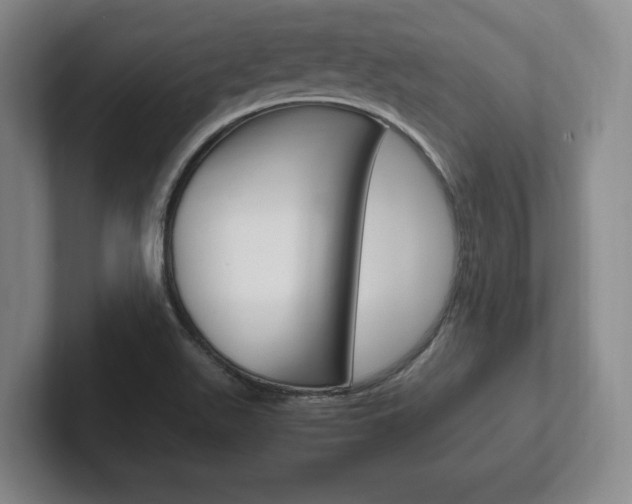 X0000102261511200807250827