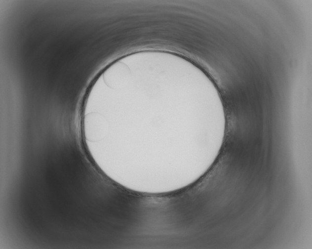 X0000102261514200807250827