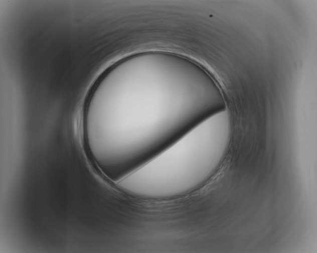 X0000102261515200807250827