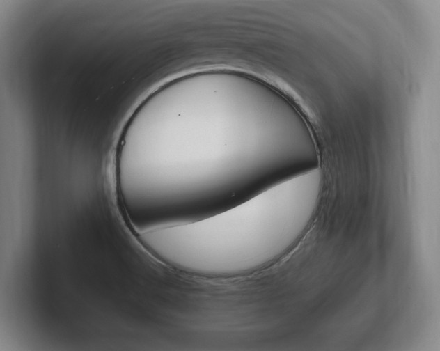 X0000102261516200807250827
