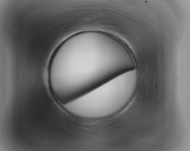X0000102261517200807250827