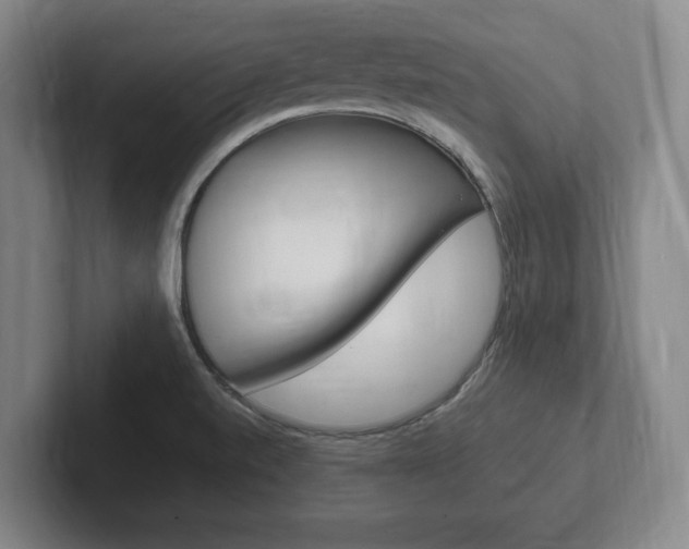 X0000102261520200807250827