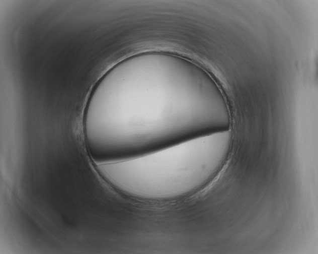 X0000102261521200807250827