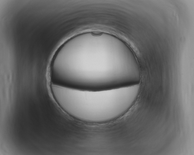 X0000102261522200807250827