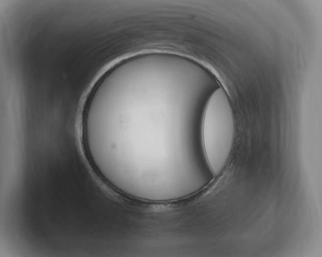 X0000102261523200807250827
