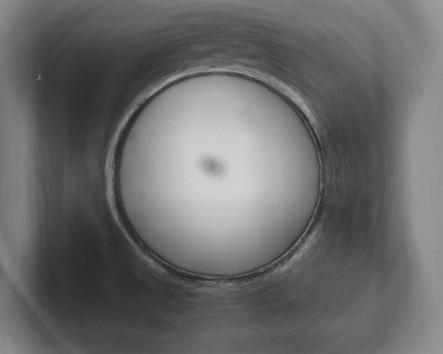 X0000102261525200807250827