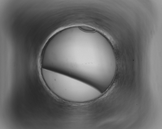 X0000102261526200807250827