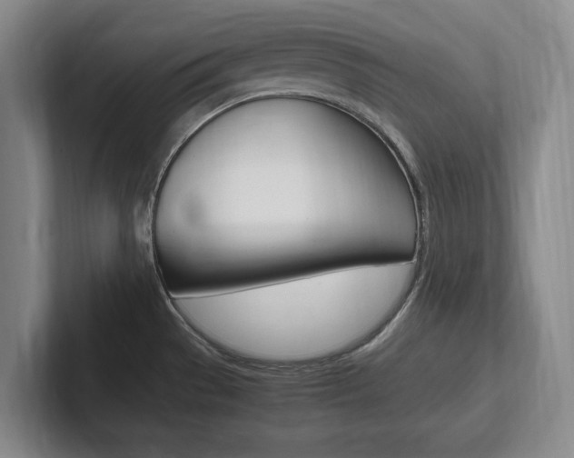 X0000102261529200807250827