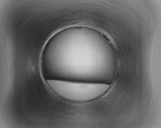 X0000102261530200807250827