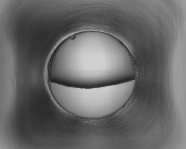X0000102261531200807250827