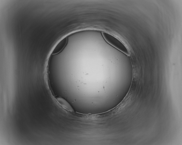 X0000102261532200807250827