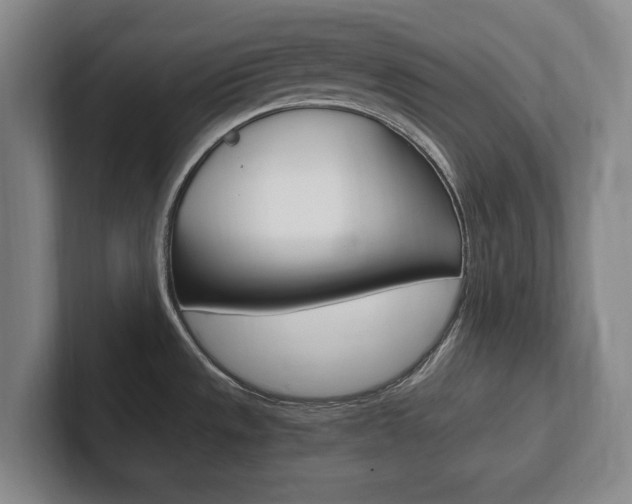 X0000102261533200807250827