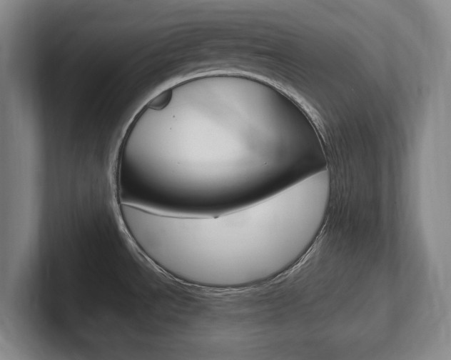 X0000102261534200807250828