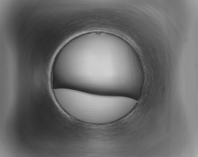 X0000102261536200807250828