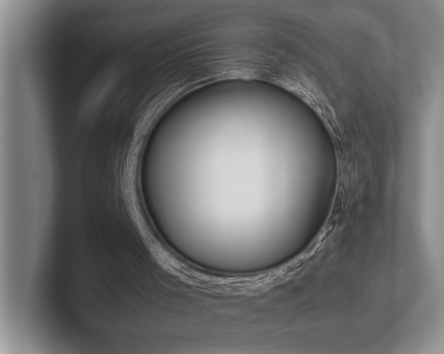 X0000102260001200807251339