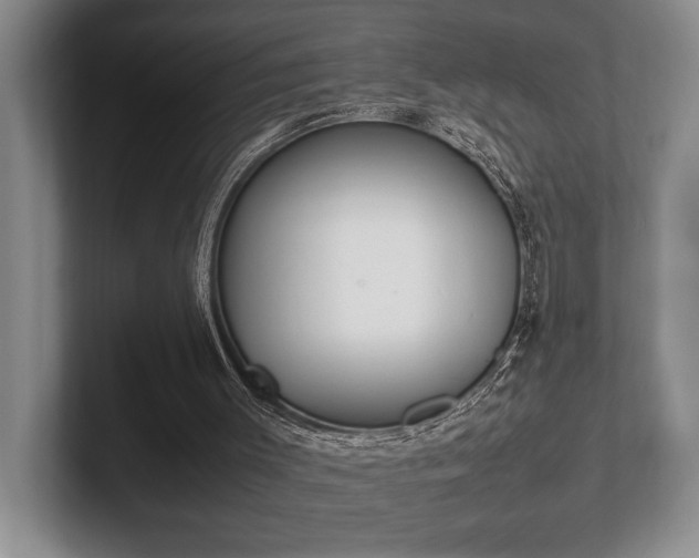 X0000102260003200807251338