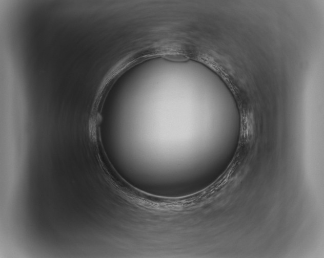 X0000102260004200807251338