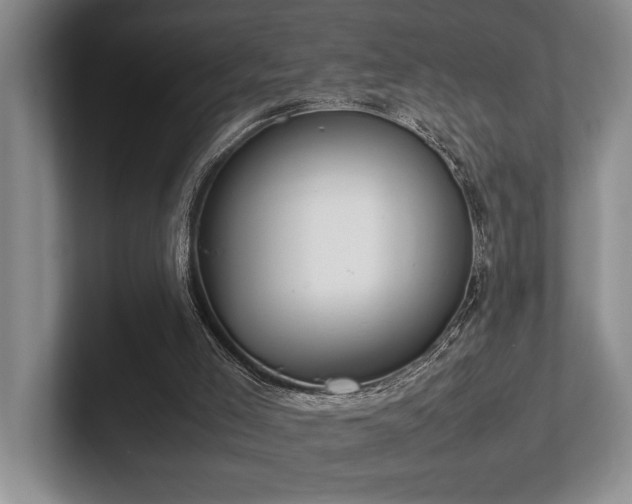 X0000102260005200807251338