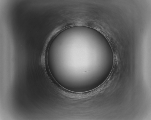 X0000102260006200807251338