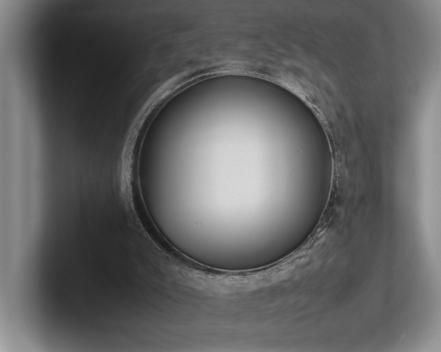 X0000102260007200807251338