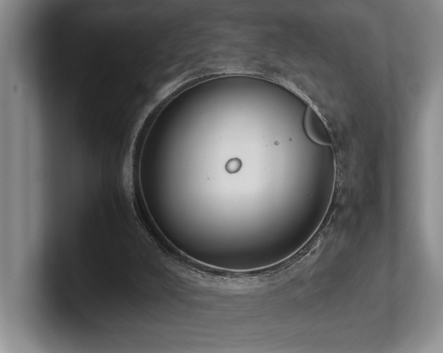 X0000102260008200807251338