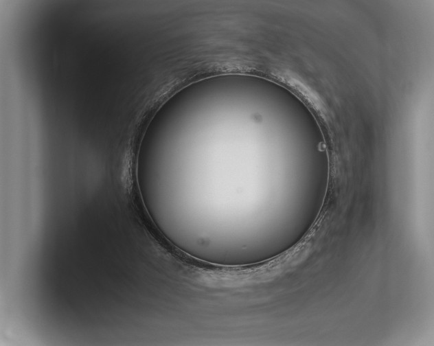 X0000102260009200807251338