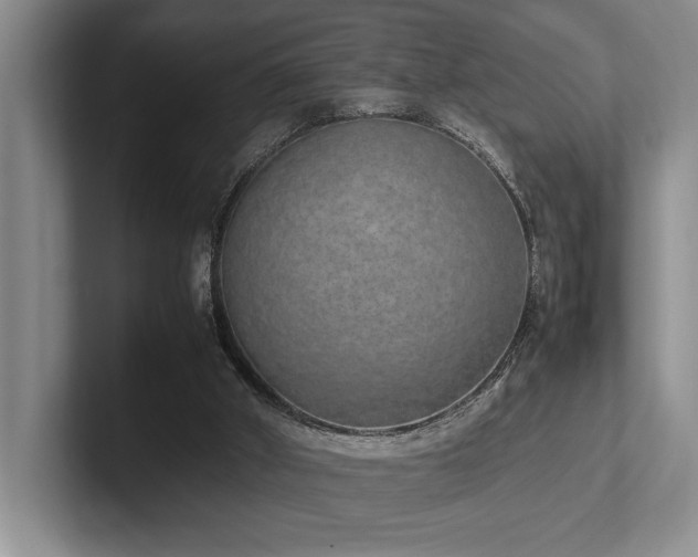 X0000102260010200807251338