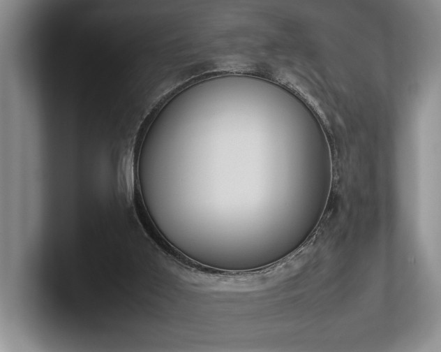 X0000102260011200807251338