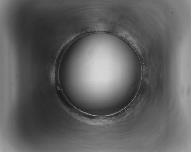 X0000102260012200807251338