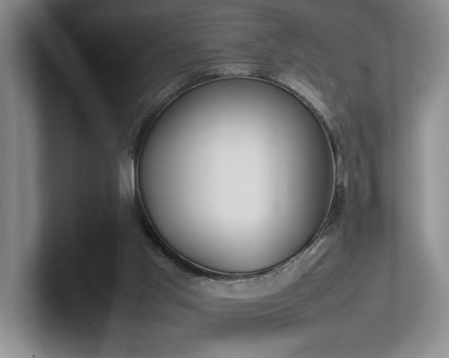 X0000102260013200807251338