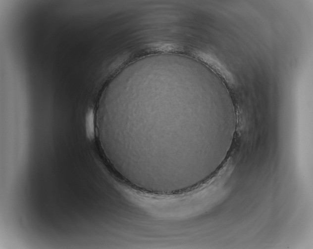 X0000102260014200807251338