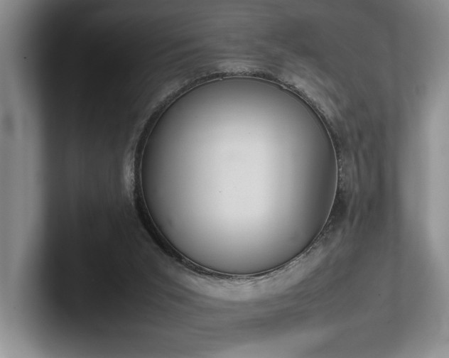 X0000102260015200807251338