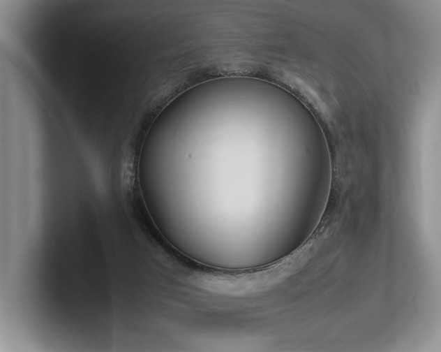 X0000102260017200807251338