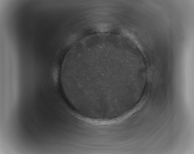 X0000102260018200807251338