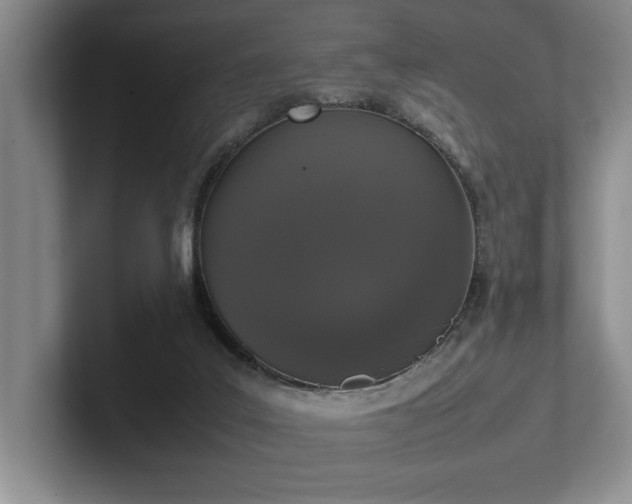 X0000102260019200807251338