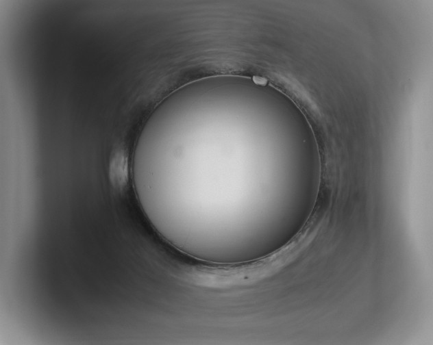 X0000102260021200807251338