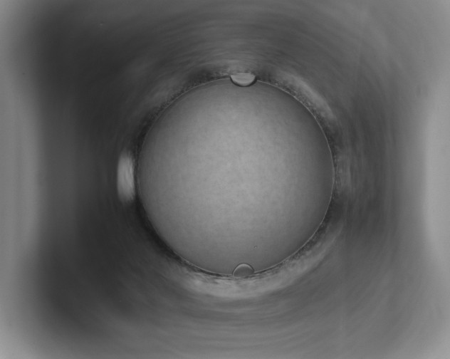 X0000102260022200807251338