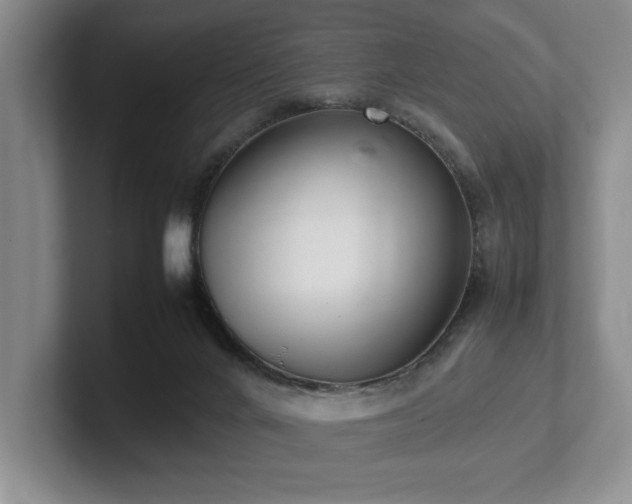 X0000102260024200807251338