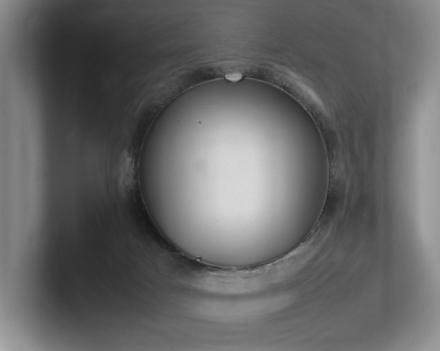 X0000102260025200807251338